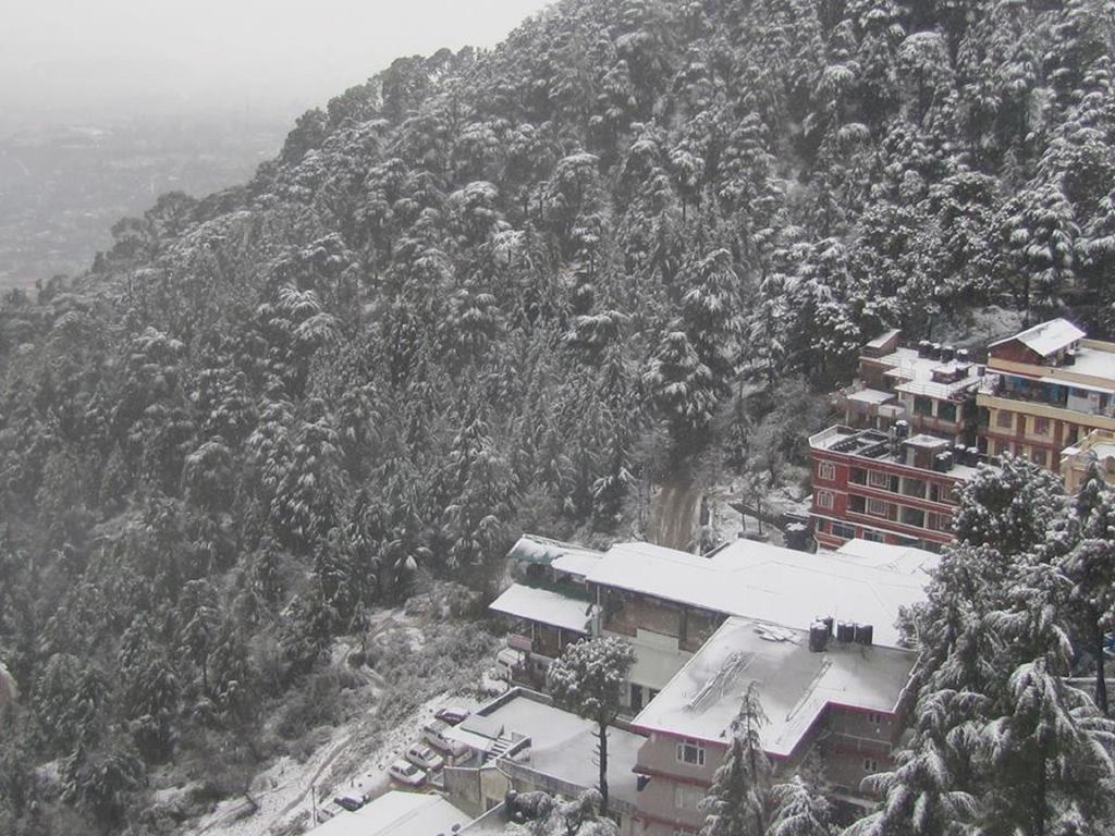 Hotel Deodar Villa Dharamshala Dış mekan fotoğraf