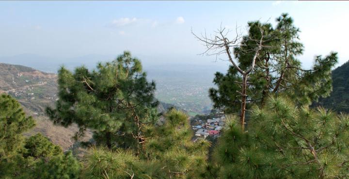 Hotel Deodar Villa Dharamshala Dış mekan fotoğraf